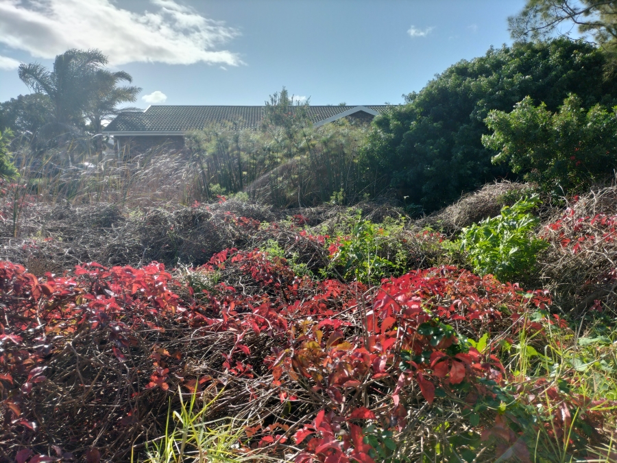 0 Bedroom Property for Sale in Aston Bay Eastern Cape